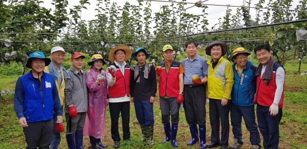단쳬사진에 양승조 충남도지사, 조소행 충남농협본부장, 류병관 농협노조충남위원장 등은 낙과모으기 작업후 봉사자들과 함께 하며 태풍피해 농가를 위로했다
