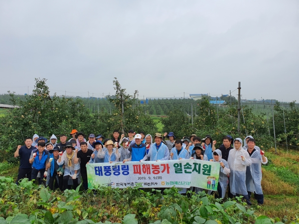 농어촌공사직원들과 농협직원들이 태풍 링링으로 피해를 입은 예산군의 한 과수농과를 방문해 일손돕기를 진행하고 있다