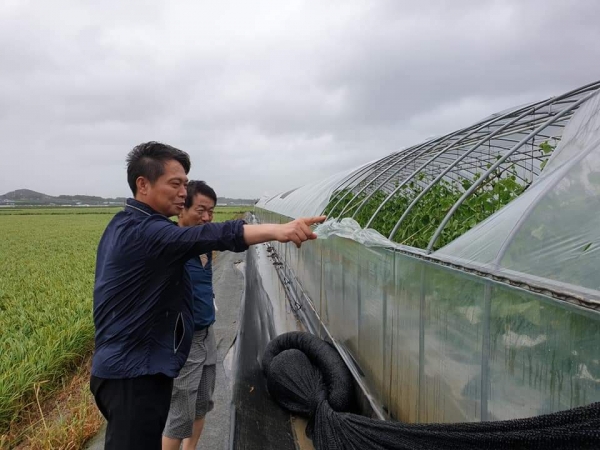 조소행 본부장이 태풍 피해 시설하우스를 살피고 낙과 현장에서 농가와 피해 정도를 이야기 나누고 있다