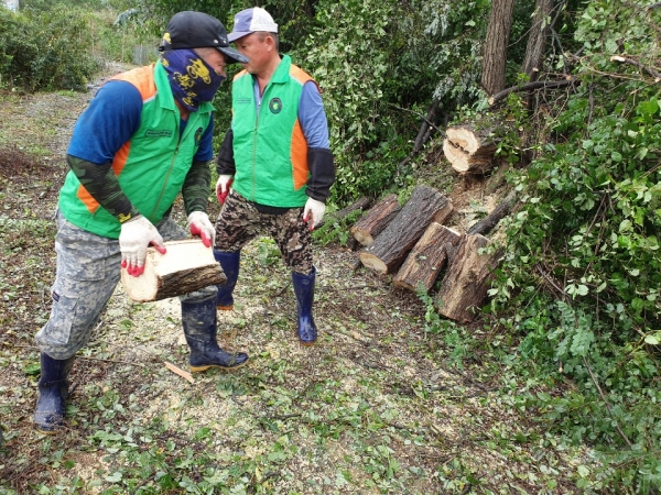 자율방재단 응급 복구 장암 수목제거 장면