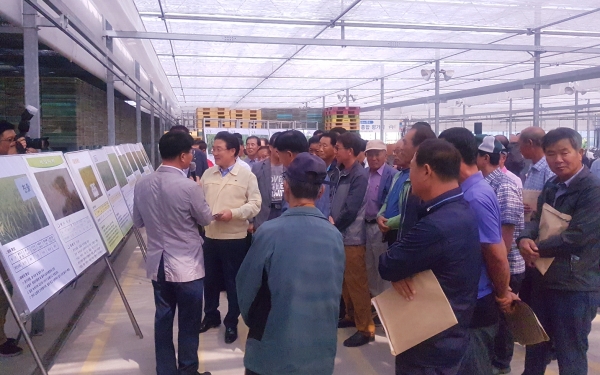 벼농사 종합 평가회 실시 모습