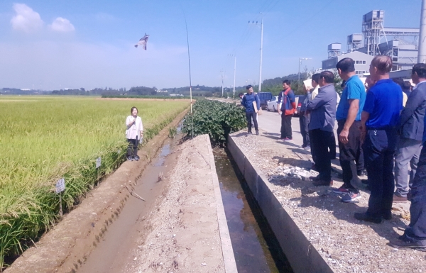 벼농사 종합 평가회 실시 모습