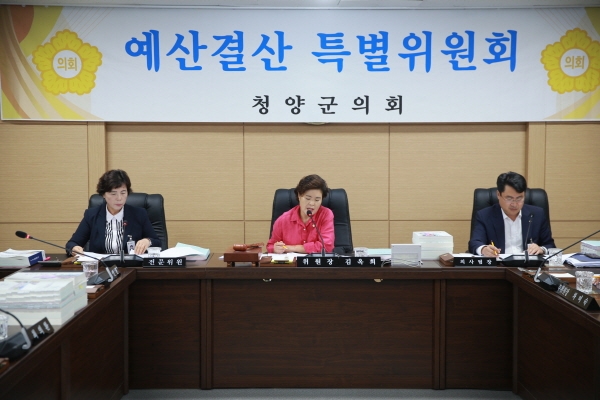 청양군의회 제257회 임시회, 2019년도 제2회 추가경정예산 심사