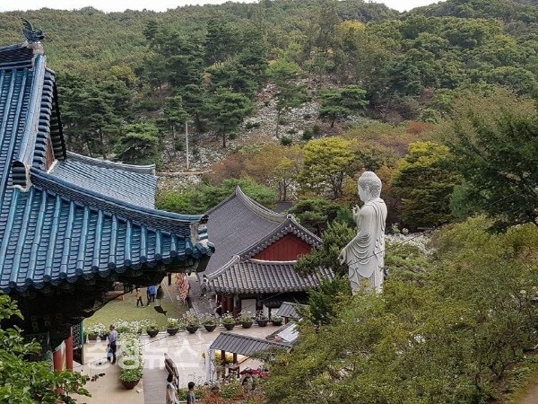 세종시 영평사 전경