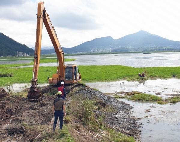 여수관기배수장 수초 제거 모습