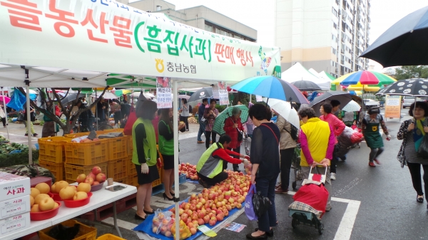 충남농협 직거래장터에서 흠집사과 판촉행사를 진행하는 모습