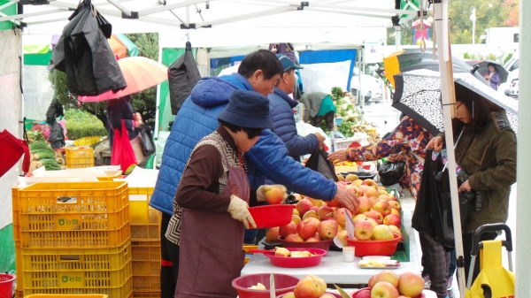충남농협 직거래장터에서 흠집사과 판촉행사를 진행하는 모습