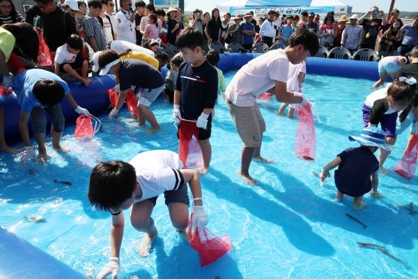 제20회 안면도백사장 대하축제 (맨손 대하 잡기)