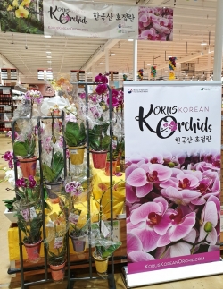 미국 Lotte Plaza Market 판촉홍보행사 현장사진