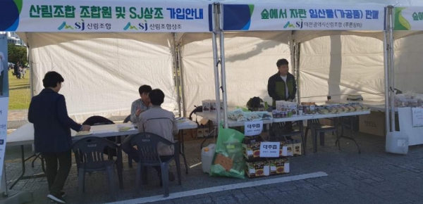 대전광역시 목재문화 페스티벌