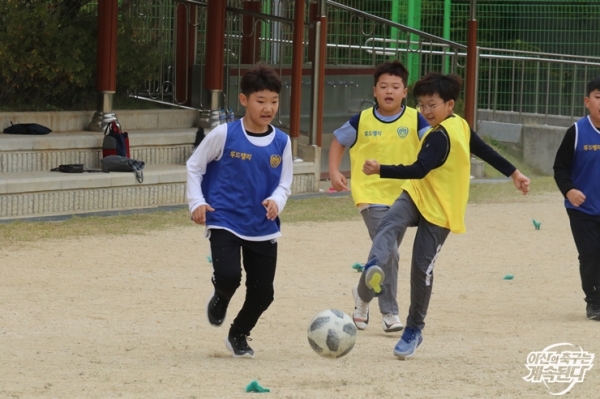 염작초 비타민 스쿨 어린이들