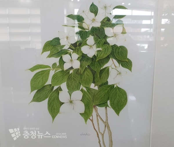 산딸나무 신선희 작가