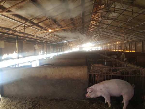 미생물 이용 악취저감시설 설치 모습