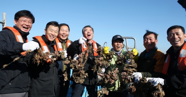 김동일 보령시장  굴 채취 현장체험 모습