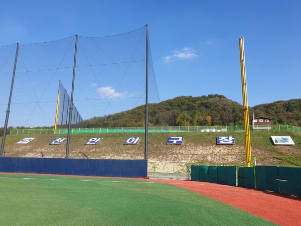 천안생활체육 야구장 모습