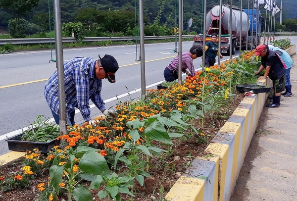 공공근로사업 활동 모습.