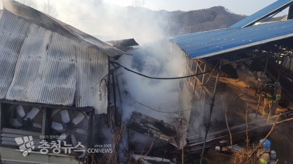 세종시 전의면 양곡리 보건소 앞 양계장 전소 (사진 제공 = 세종소방서)