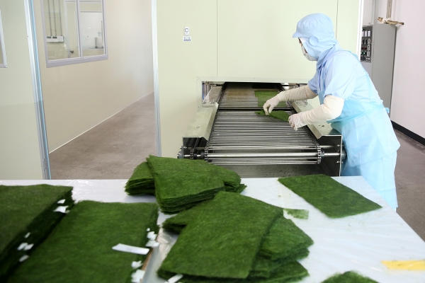 서산시, 감태 명품화 추진