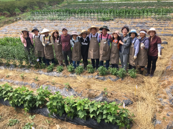 지난해 도시농업전문가 실습교육 모습