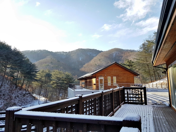 국립양평치유의숲 동절기 전경
