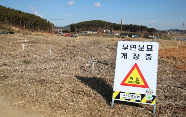근흥면 마금1리 주민들의 오랜 숙원 사항인 마금리 공동묘지를 재정비해 지역주민의 정주환경 개선