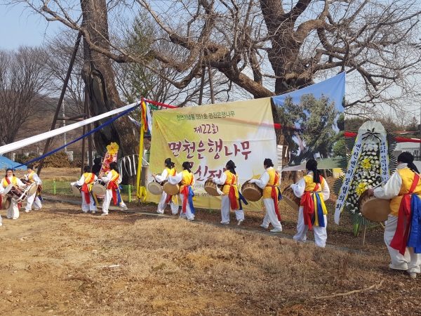 면천은행나무 목신제 개최 모습