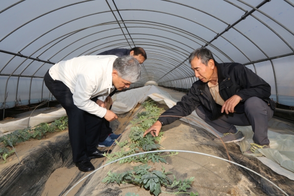 금산군 민선7기 공약사업 순항(농업관련 새벽현장).