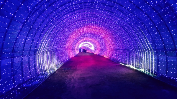 코리아플라워파크 빛축제