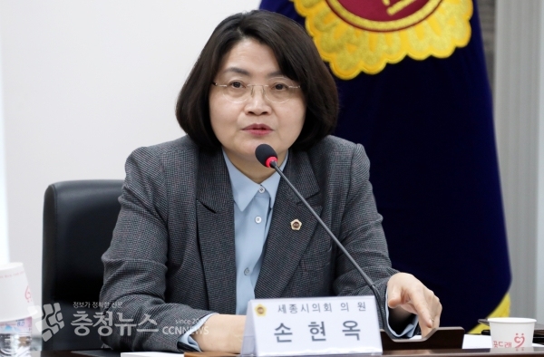 발언하는 손현옥 세종시의원