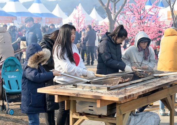 2020겨울공주 군밤축제 관련 자료사진