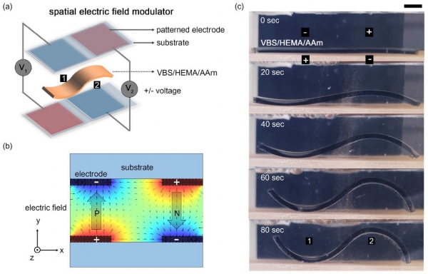 최문영-공간 전기장 제어를 통한 하이드로젤 기반 소프트 엑츄에이터