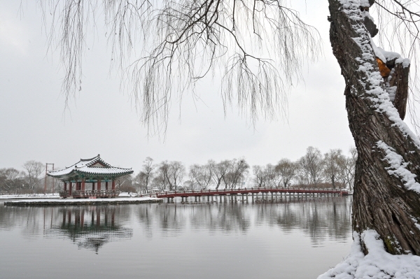 부여 궁남지 설경
