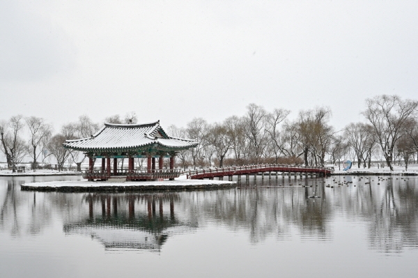 부여 궁남지 설경