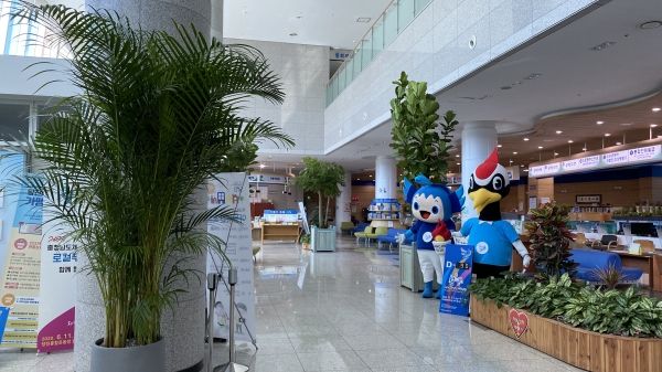 그린오피스로 조성한 당진시청 민원실 전경