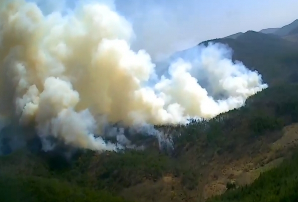 경북 안동시 풍천면 산불 / 산림청 제공