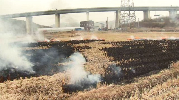 논.밭두렁 소각 장면.