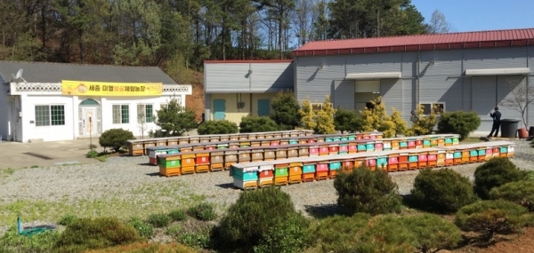 세종시 체험양봉사업