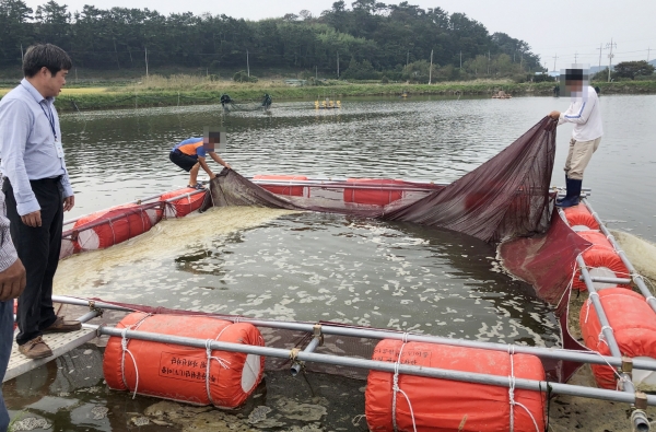 불법어업 단속(소원면).