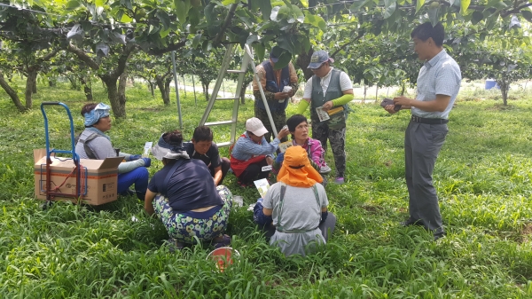 지난해 영농현장 지도의 날 운영 모습