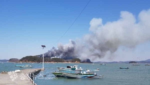 충남 서산시 저도 섬 화재로 연기가 피어오르고 있다. (출처=태안해양경찰서)