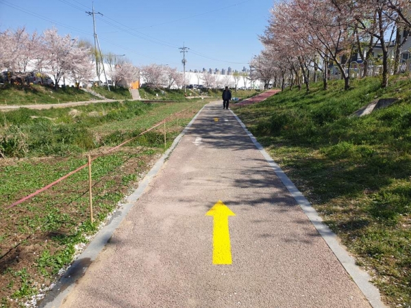 원성천 일방통행 유도 방향표시 조성