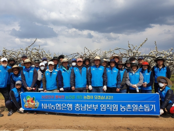 영업본부 배화접 일손지원 실시 모습