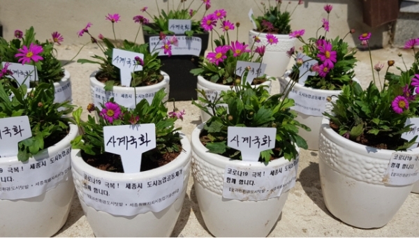 도시농업공동체 무료나눔 활동