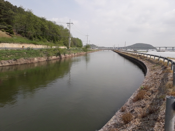 예당저수지 예당간선 급수전경 모습