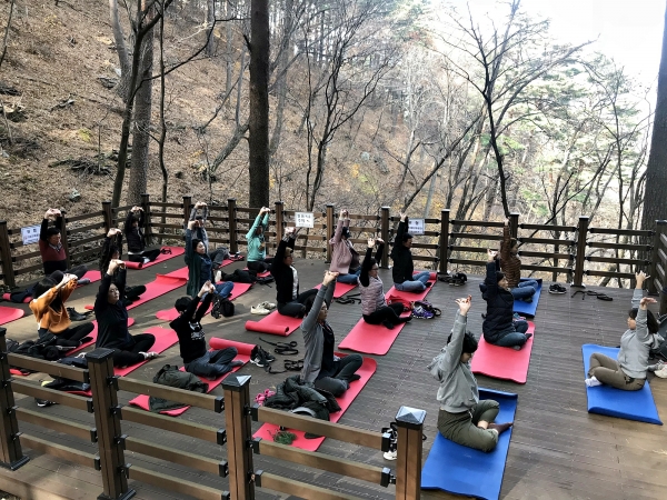 산림치유프로그램