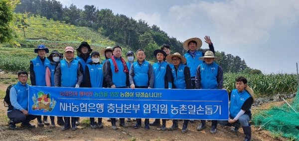 조두식 농협은행 충남본부장과 류병관 농협노조충남세종지역위원장, 이회윤 농협 서산시지부장은 직원들과 함께 마늘쫑 뽑기와 농촌환경 정화활동을 펼쳤다.