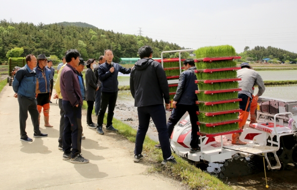 지난 14일 태안읍 삭선리 ‘드문모심기’ 현장 연시회 모습.