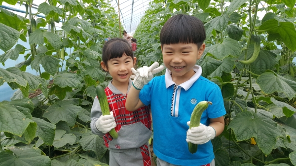 농촌체험 현장 모습