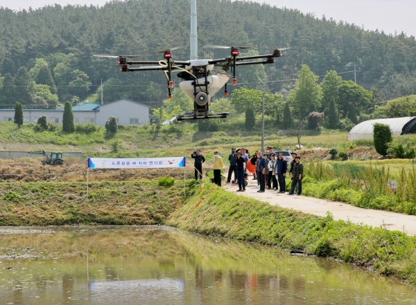 드론이용 벼직파 연시회