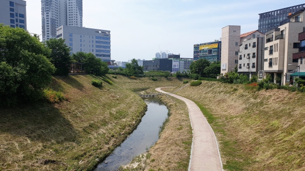 천안시 서북구가 하천 산책로를 정비하는 모습